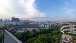 the-interlace photo thumbnail #1